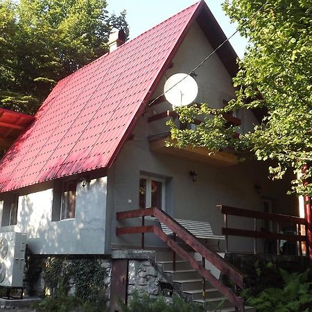Casa De Oaspeti Boga Pietroasa  Eksteriør billede