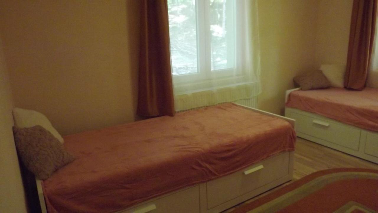 Casa De Oaspeti Boga Pietroasa  Eksteriør billede